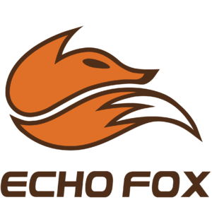 Echo Fox Social Media Following
