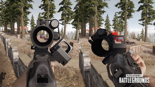 PUBG Canted Sight