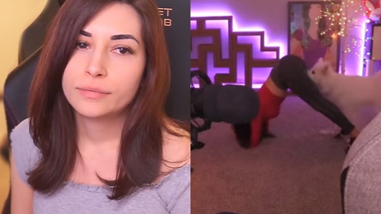 Twitch Girl Shows Vag